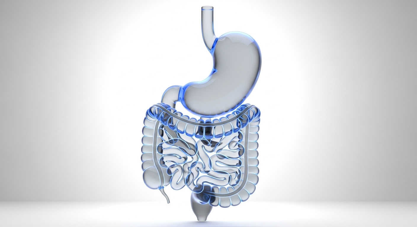 Gastroenterology Consultation